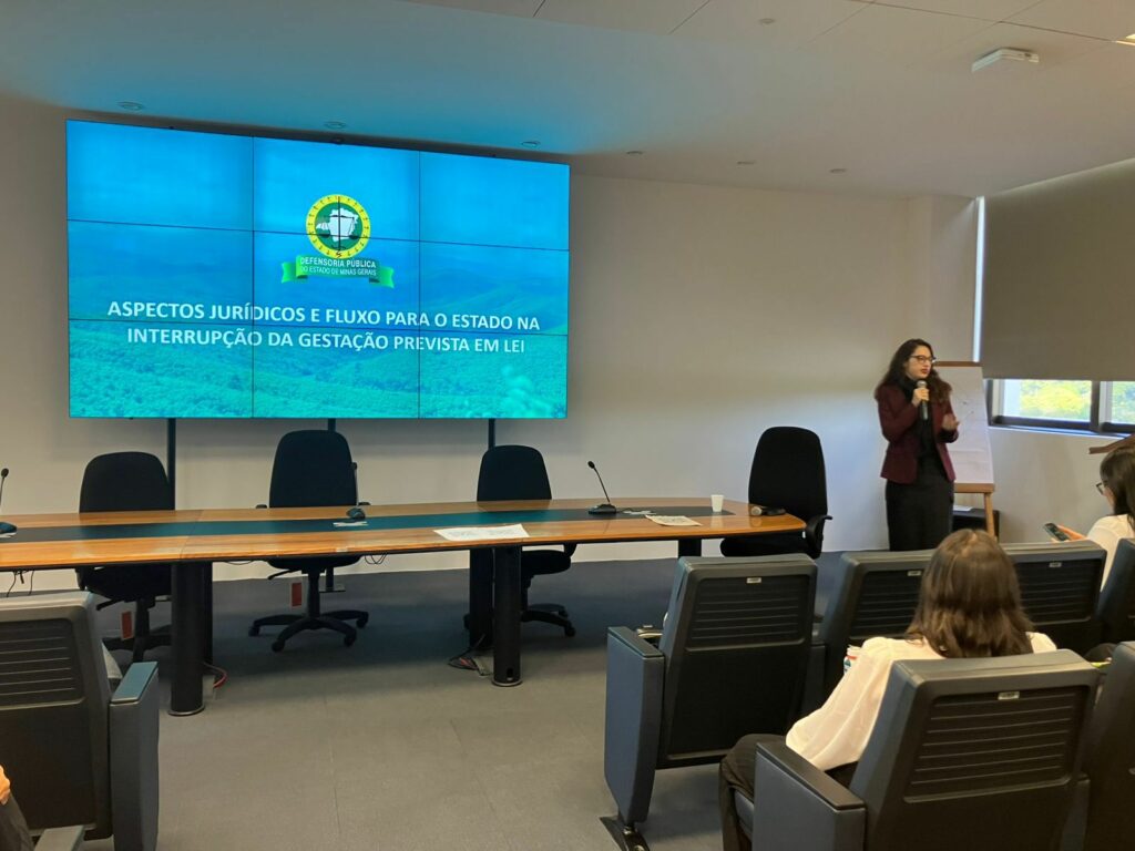 Coordenadora da CEDEM/DPMG participa de oficina de atendimentos à violência sexual e vigilância epidemiológica 